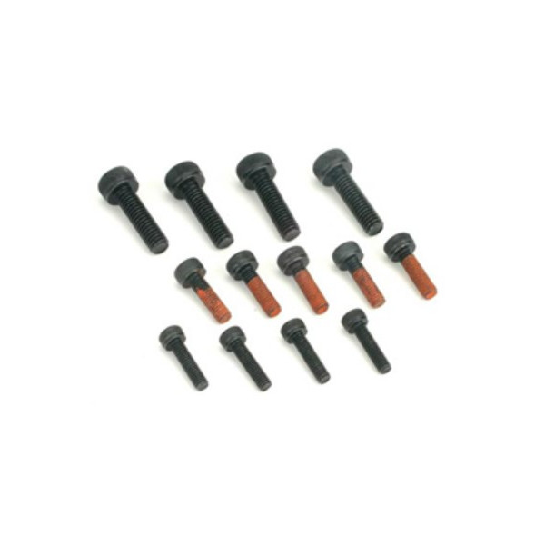 (014) Zylinder-Schraubensatz FG41TS