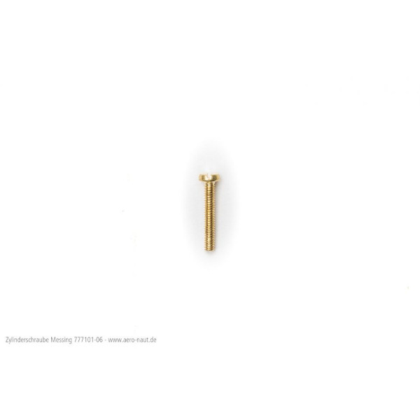 Zylinderschraube M1 x 10, 20 Stk.