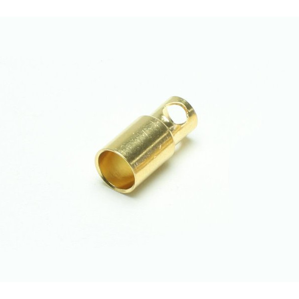 Goldbuchse 6.0 mm